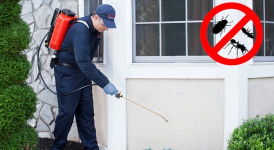 Eskifoça Bit İlaçlama böcek ilaçlama ve haşere kontrolü — ilaclama-tr.com